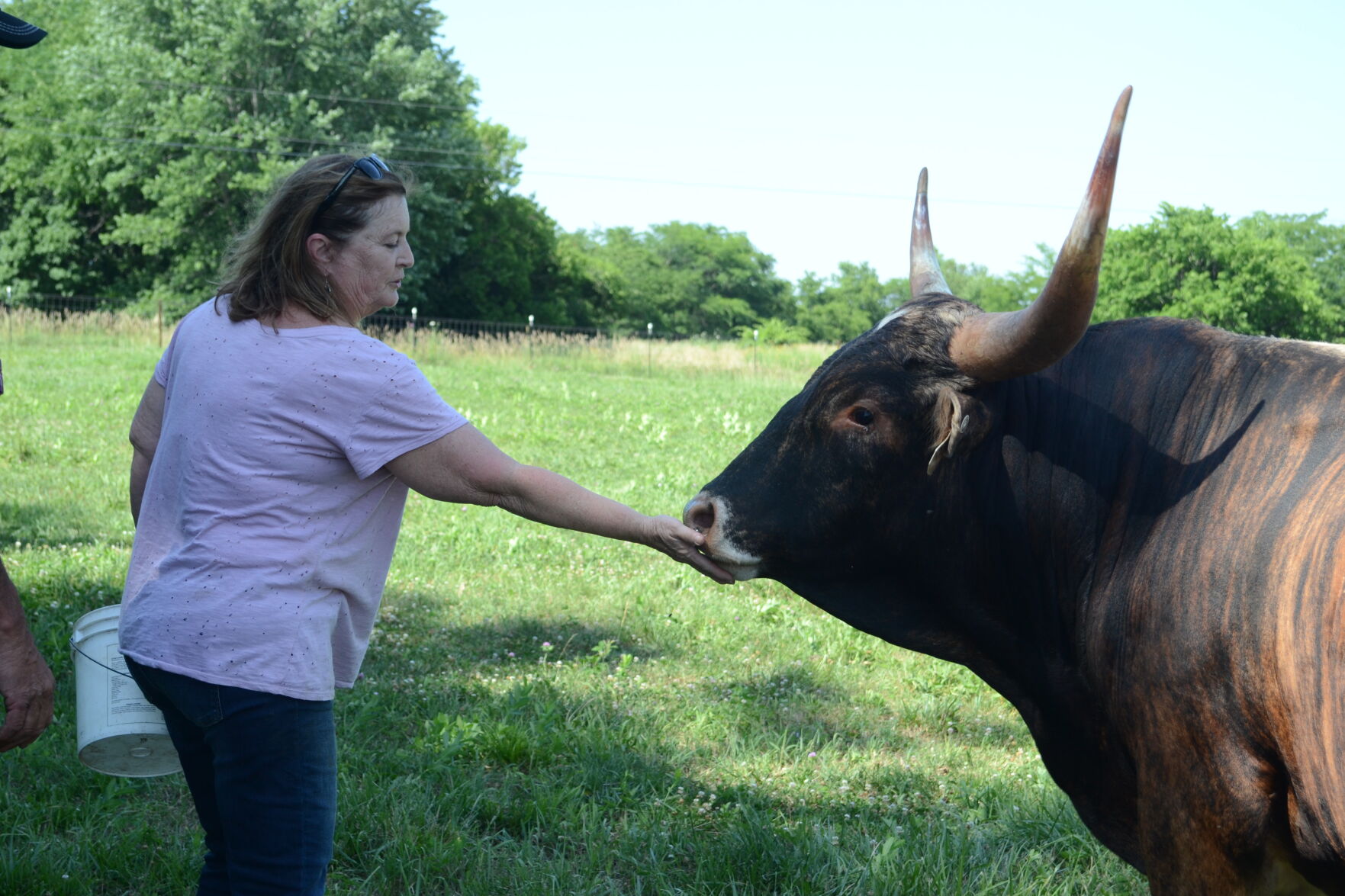 Marcia petting the bull